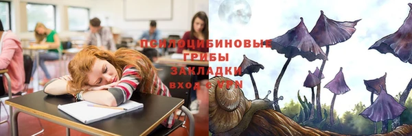 стафф Арсеньев