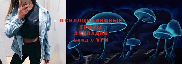 стафф Арсеньев