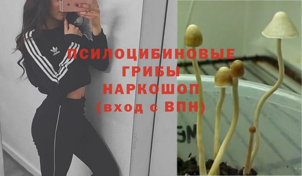 Альфа ПВП Армянск