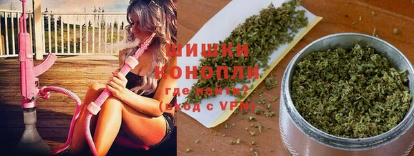 МДПВ Снежногорск