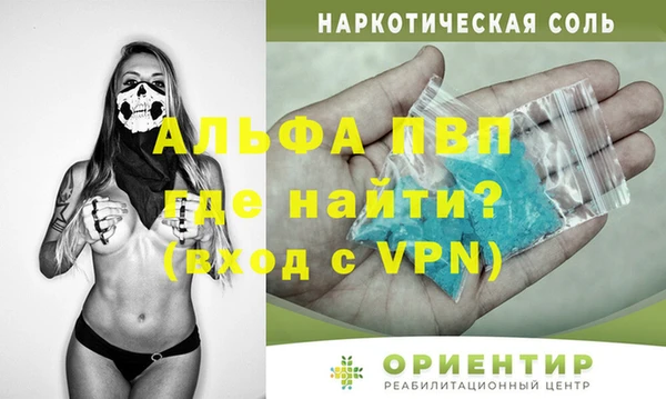 стафф Арсеньев