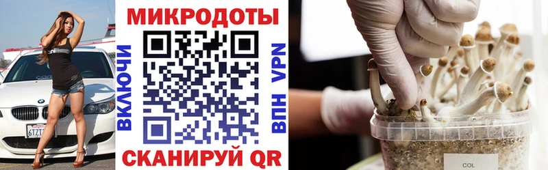 Псилоцибиновые грибы прущие грибы  Феодосия 