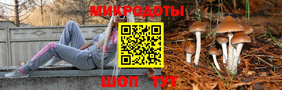Псилоцибиновые грибы Magic Shrooms Феодосия