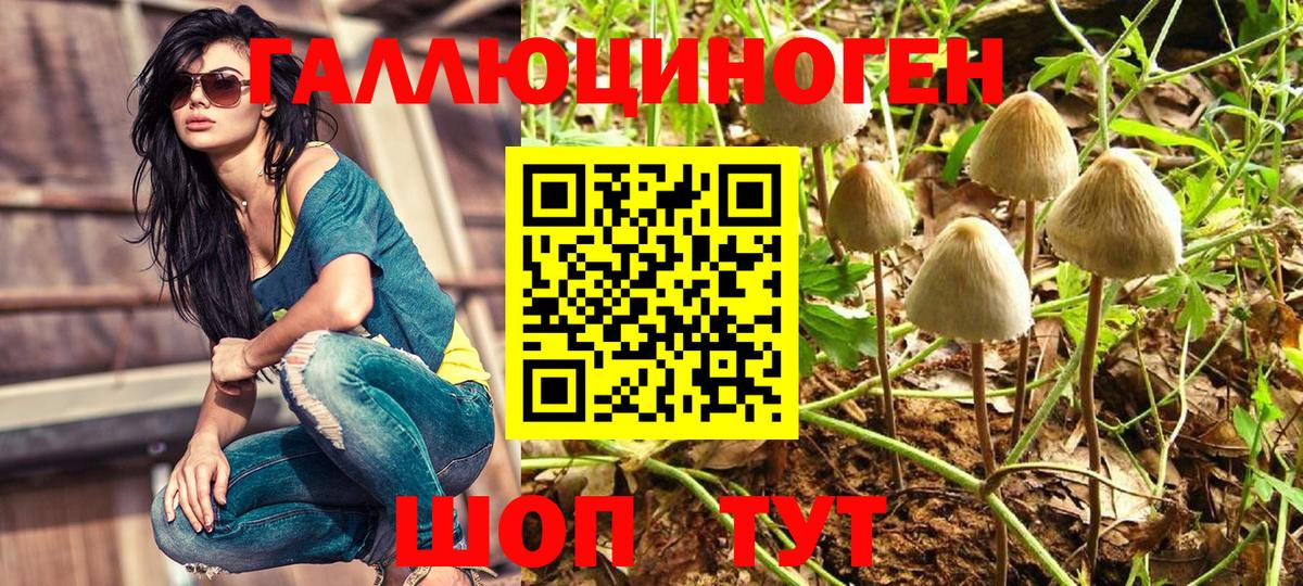 Феодосия  Псилоцибиновые грибы Cubensis  Вход с VPN 